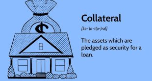 Collateral-backed Borrowing Explained