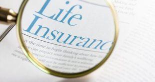 Life-Insurance